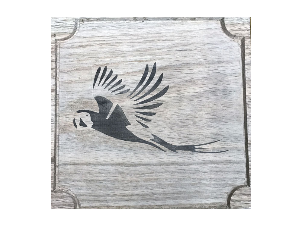 Parrot in Flight